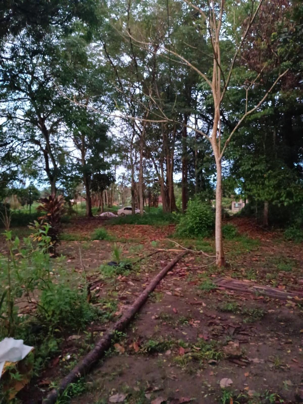 Casa Na Floresta Cosmica Ananindeua Extérieur photo